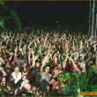 Summer of love 2007