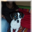 Poprv� doma..